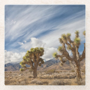 Joshua Trees in woestijn Glazen Onderzetter