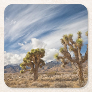 Joshua Trees in woestijn Vierkante Kartonnen Onderzetter