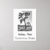 Joshua Trees Nationaal Park Canvas Afdruk (Voorkant)