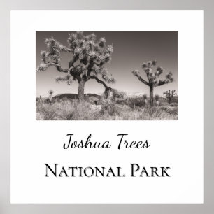 Joshua Trees Nationaal Park Poster