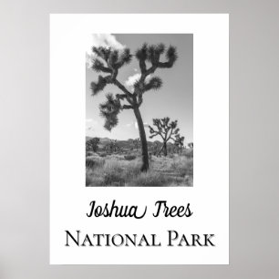Joshua Trees Nationaal Park Poster