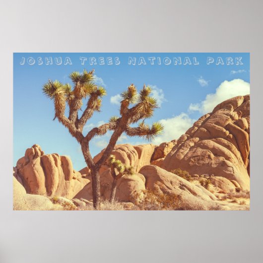 Joshua Trees National Park Landscape Scenery Poster (Voorkant)