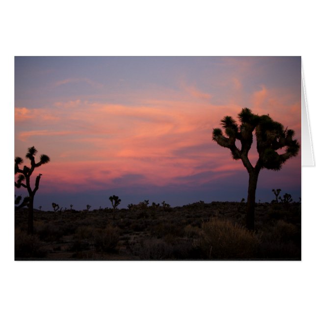 Joshua Trees op Sunset (Voorkant Horizontaal)