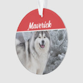 Jote Alaskan Malamute Chien de Noël (devant)