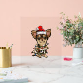 Jote Chihuahua Père Noël Feux de Noël Joyeux Noël (Mariage)