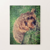 Jote Golden Doodle Jigsaw Puzzle (Vertical)