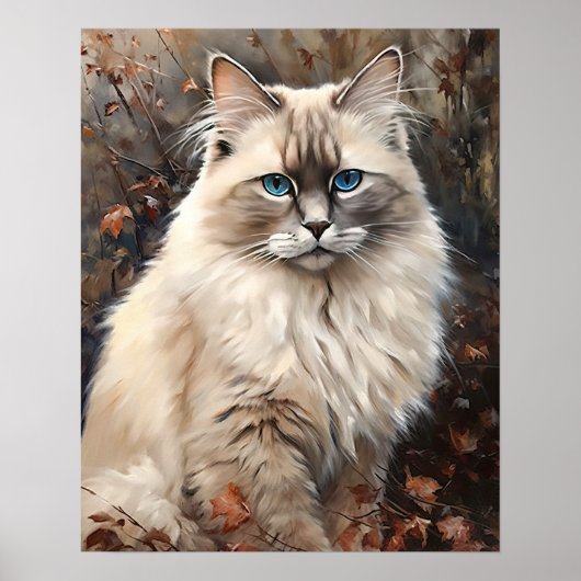 Jote Ragdoll Art Chat Imprimer Poster (Devant)