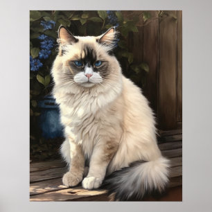 Jote Ragdoll Art Chat Imprimer Poster