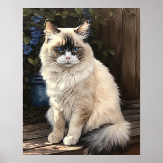 Jote Ragdoll Art Chat Imprimer Poster (Devant)