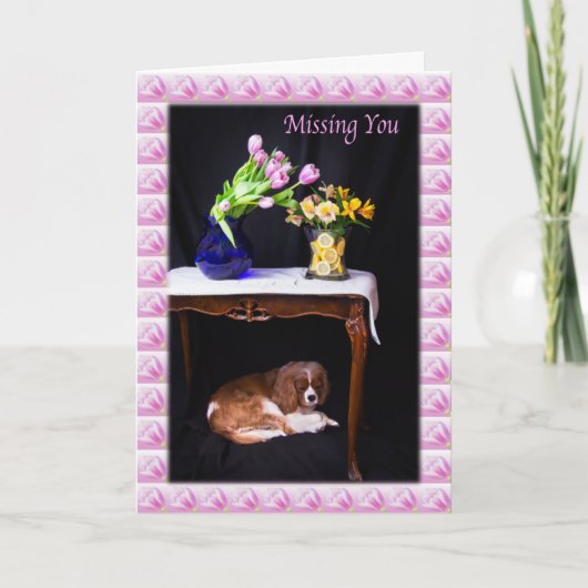Jou Missend Cavalier King Charles Met Bloemen Kaart (Voorkant)