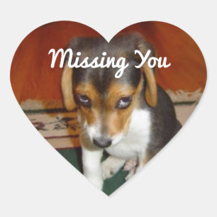 Jou Missende Puppystickers Hart Sticker