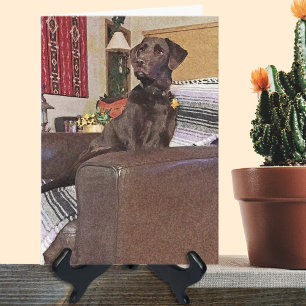 Jou mist Chocolate Labrador Retriever Op Stoel Kaart