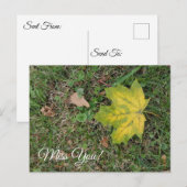 Jou miste, enkel vallend blad briefkaart (Voorkant / Achterkant)