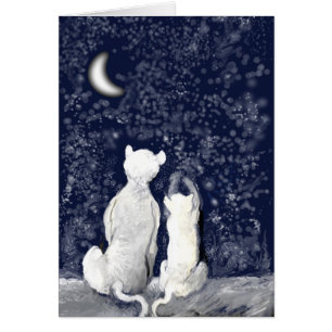 "Jouant avec des étoiles "