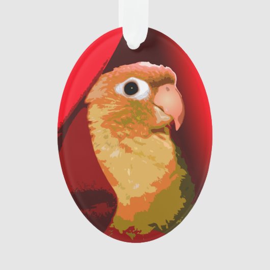 Joue verte Conure Parakeet Snuggets Animaux Animau (devant)