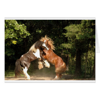 Jouer au coucher du soleil