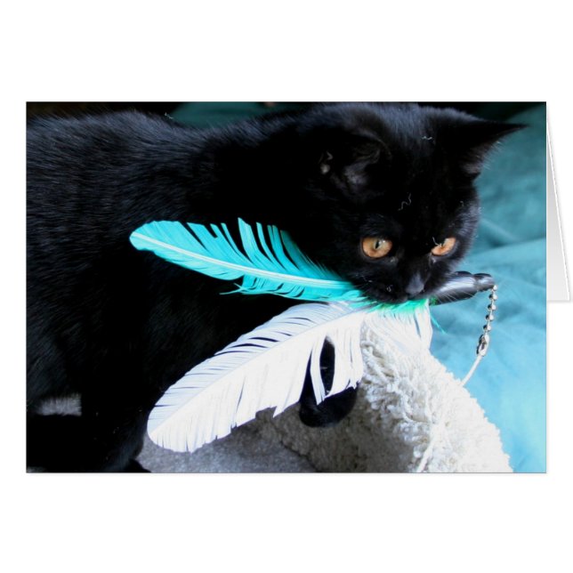 Jouer chat attrape jouet de plume (Devant horizontal)