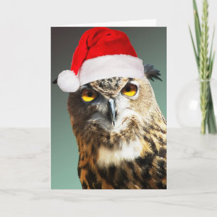 Jouets tordus de carte de Père Noël… non inclus !