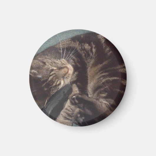 Joueur Dave Small, Magnet Arrondi De 3,2 Cm (Devant)