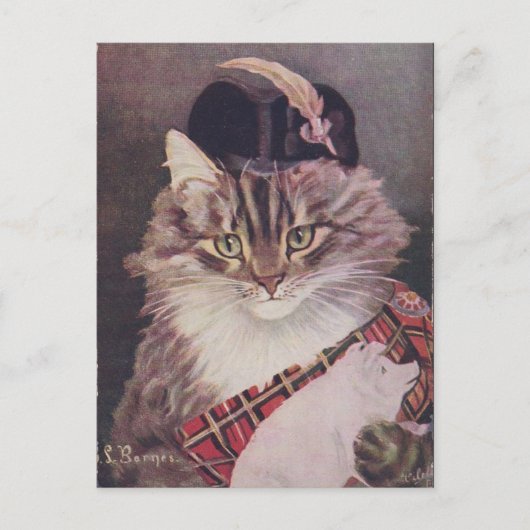 Joueur de cornemuse chat briefkaart (Voorkant)