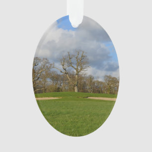 Jouons au golf