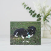 Jouons ! Carte postale de chiot berger allemand (Debout devant)
