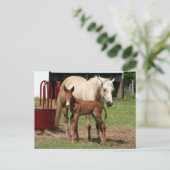 Jour 1 - Carte postale mère et fils (Debout devant)