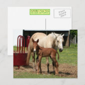 Jour 1 - Carte postale mère et fils (Devant / Derrière)