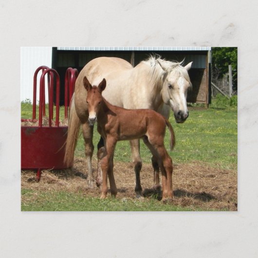 Jour 1 - Carte postale mère et fils (Devant)