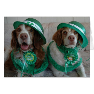 JOUR DE LA ST PATRICK BRITANNIQUES