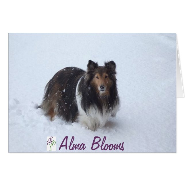 Jour de neige (Devant horizontal)