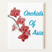 Jour de Spa Orchidées d'Asie (Dos)