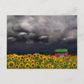 Jour étrange, Carte postale (Devant)