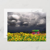 Jour étrange, cartes postales (Devant / Derrière)