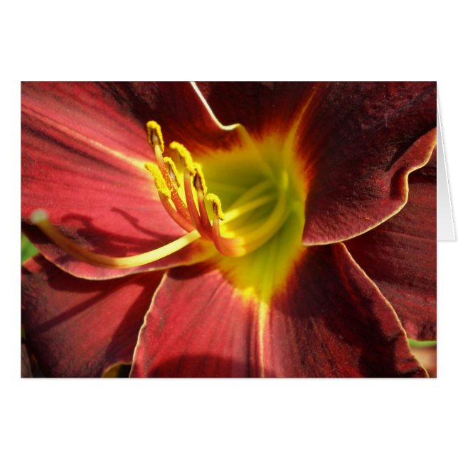 Jour Lily - orange foncé (Devant horizontal)