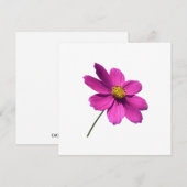 JOUR ROSE, BLANC TOUTE CARTE D'OCCASION (Devant / Derrière)