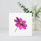 JOUR ROSE, BLANC TOUTE CARTE D'OCCASION (Debout devant)
