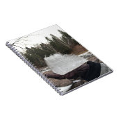 Journal (Côté Droit)