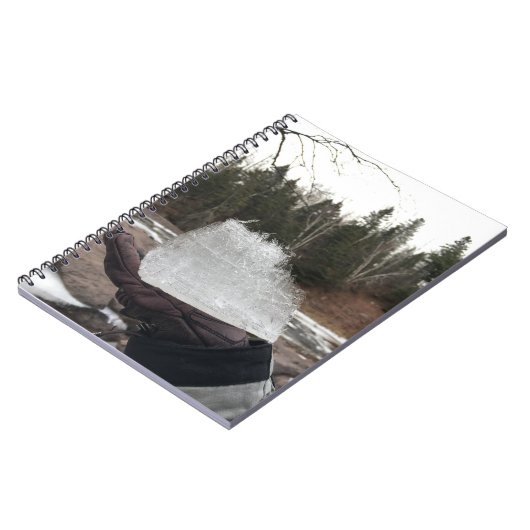 Journal (Côté gauche)