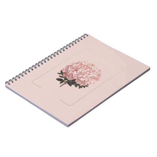 journal astique (Côté gauche)