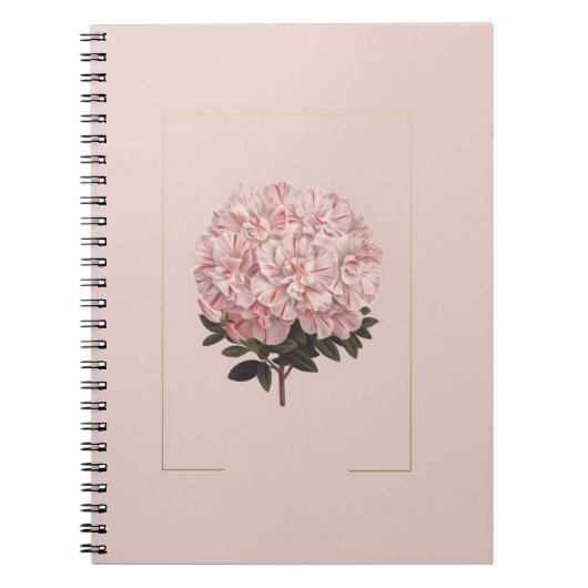 journal astique (Devant)