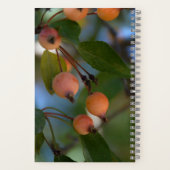 Journal - Automne (Verso)