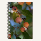 Journal - Automne (Recto)