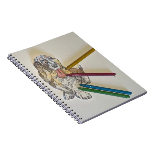 Journal Bassie (Côté Droit)