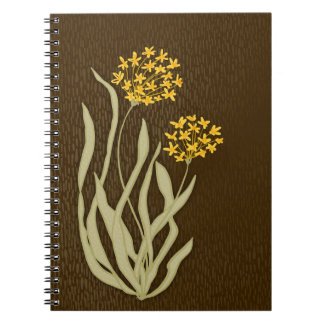 Journal botanique des ciboulettes en fleurs