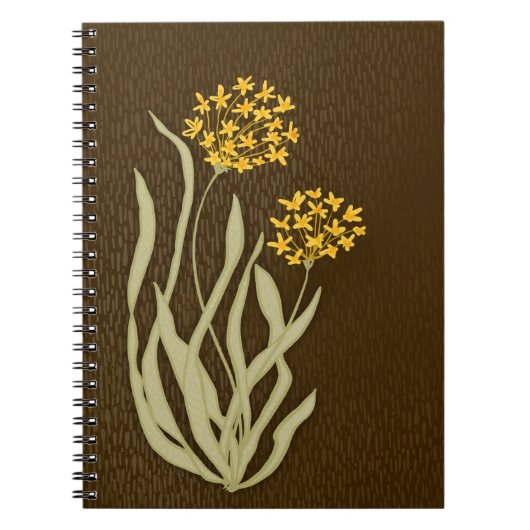 Journal botanique des ciboulettes en fleurs (Devant)