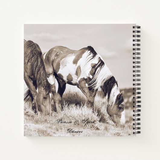 Journal Carnet Spiral Couvertures Picasso Cheval S (Dos)