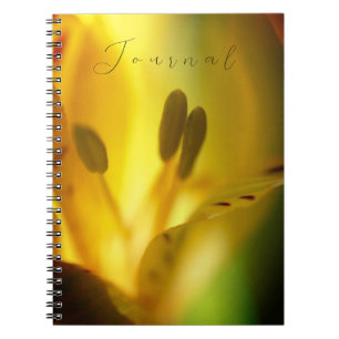 Journal Carnet spirale