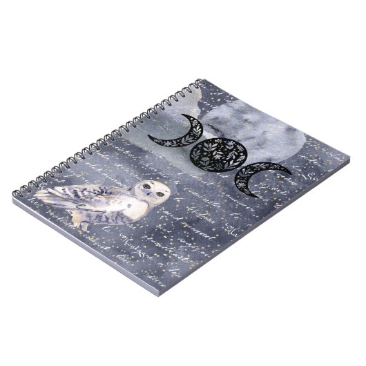 Journal céleste (Côté gauche)