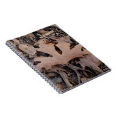 Journal d'automne (Côté Droit)